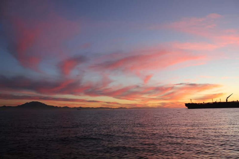 Algeciras: Dolphin and whale watching in reduced groups - Who should book this dolphin trip?