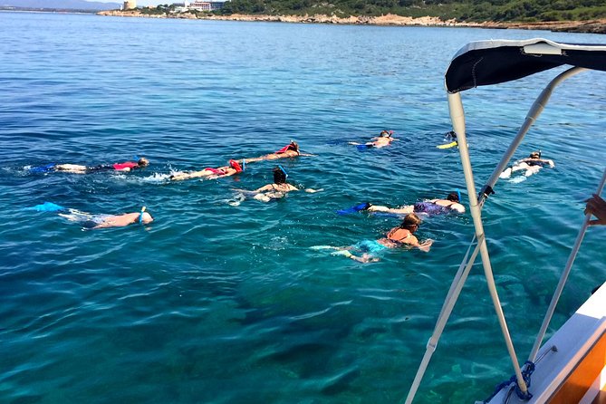Alghero - Dolphin Watching and Guided Snorkeling (summer tour) - Guided snorkeling in protected Mediterranean water