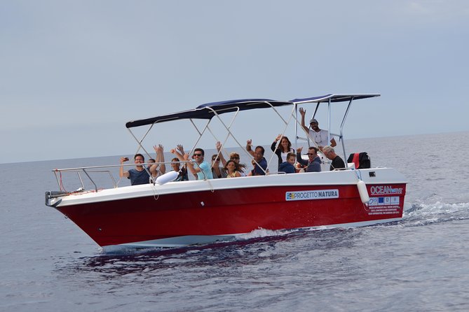 Alghero - Dolphin Watching (Spring & Autumn Tour) - Leaving Alghero for Capo Caccia and Isola Piana