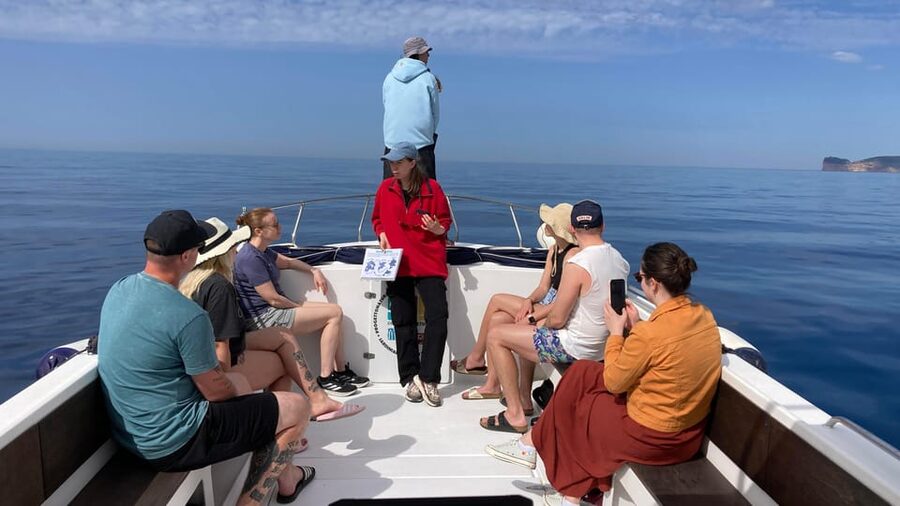 Alghero: Dolphin Watching Tour with Marine Researcher - Small details that make the day run better