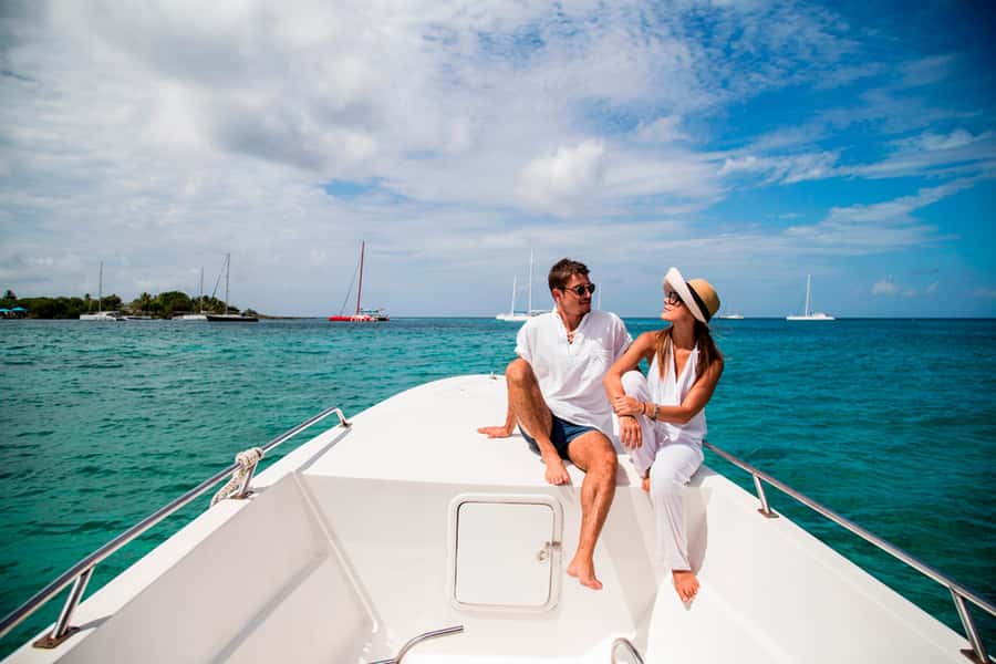 All In One- Dolphins, Whales, Snorkeling & Lunch onboard - Watching dolphins along Mauritius’s west coast