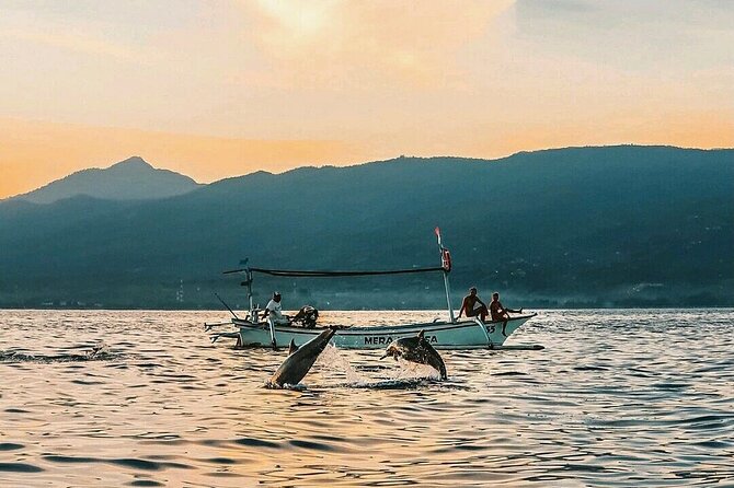 All inclusive Lovina Dolphins Sunrise tour, Waterfall & Temple - Who should book this tour