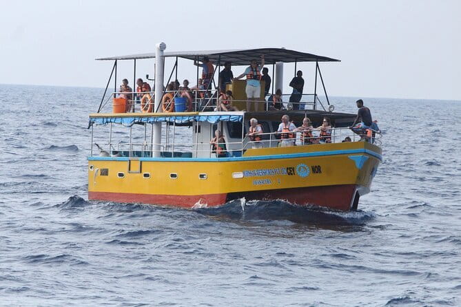 All Inclusive Mirissa Whale and Dolphin Watching Boat Ride - Key points at a glance