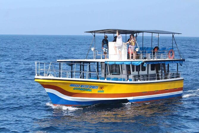 All Inclusive Mirissa Whale and Dolphin Watching Boat Ride - Wildlife ethics matter on this trip