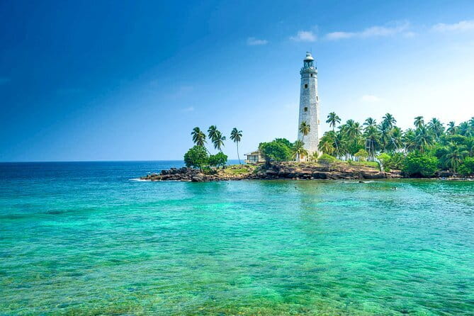 All Inclusive Mirissa Whale and Dolphin Watching Boat Ride - Food, water, and what the $90 price covers