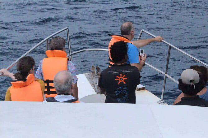 All Inclusive Mirissa Whale and Dolphin Watching Boat Ride - Two hours across the Indian Ocean