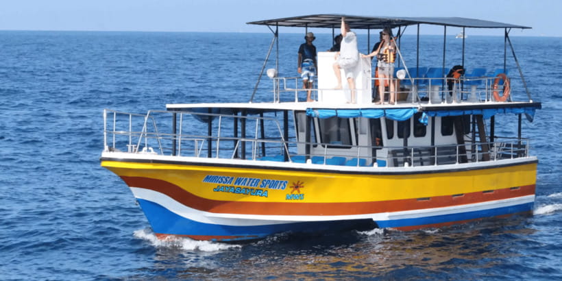 All Inclusive Mirissa Whale & Dolphin Watching + Snorkeling - Key points at a glance