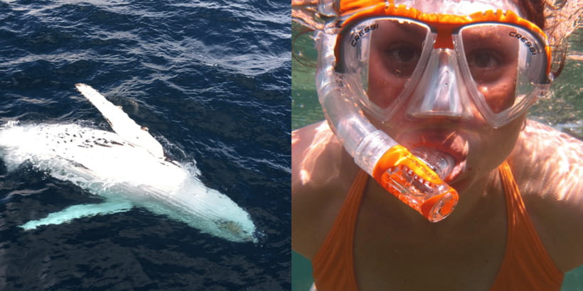 All Inclusive Mirissa Whale & Dolphin Watching + Snorkeling - Snacks, sea air, and the practical side of the boat