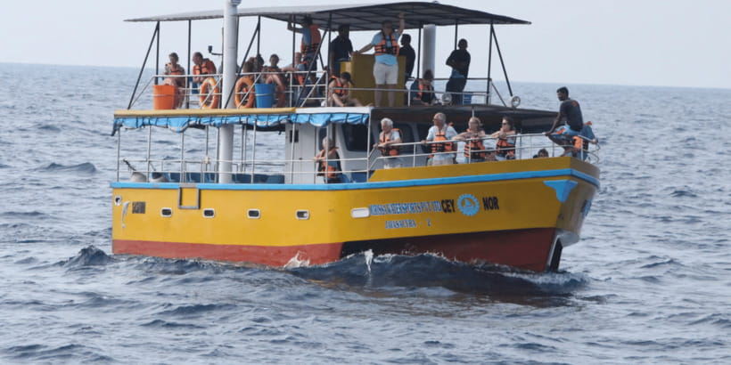 All Inclusive Mirissa Whale & Dolphin Watching + Snorkeling - The dawn departure and 30-minute tuk-tuk ride