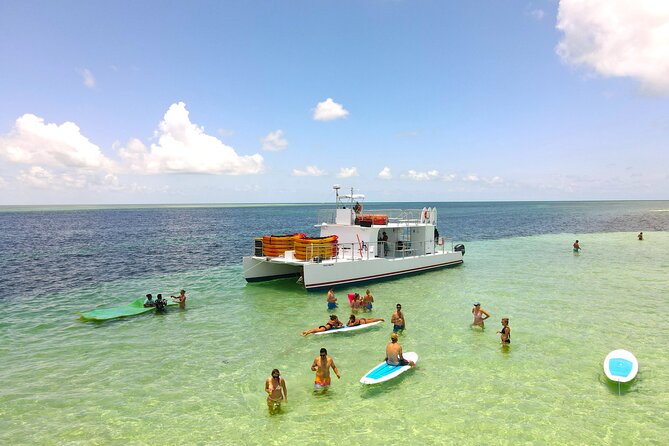 All-Inclusive Sandbar Safari with Dolphin Playground Encounter - Leaving the Historic Seaport at 11 a.m.