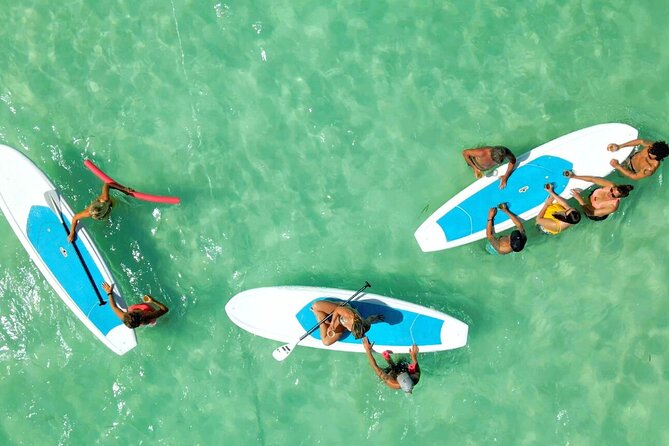 All-Inclusive Sandbar Safari with Dolphin Playground Encounter - What the crew adds to the day