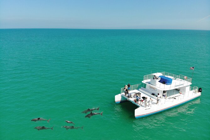 All-Inclusive Sandbar Safari with Dolphin Playground Encounter - How to prepare for the sandbar and boat ride