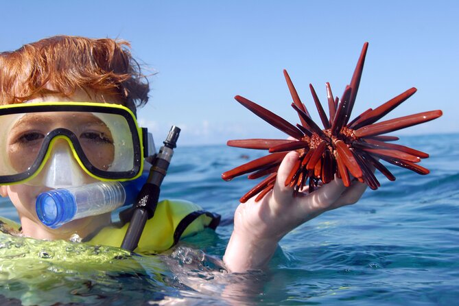 All-Inclusive Sunset Dolphin Watch and Snorkeling Cruise - Why the Ko Olina departure works so well