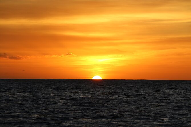All-Inclusive Sunset Dolphin Watch and Snorkeling Cruise - Is $169 a fair price?