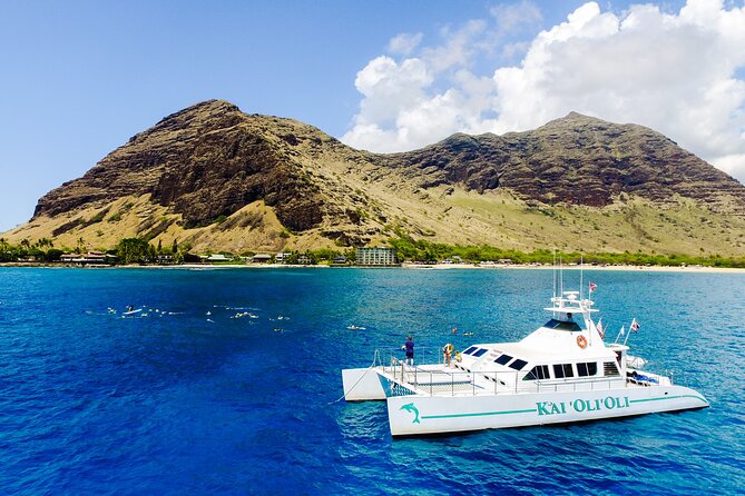 All-Inclusive Sunset Dolphin Watch and Snorkeling Cruise - Who will enjoy this cruise most?