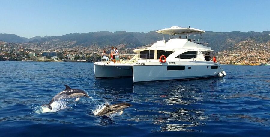 All Inclusive Whale and Dolphin Watching Luxury Tour - Key points at a glance