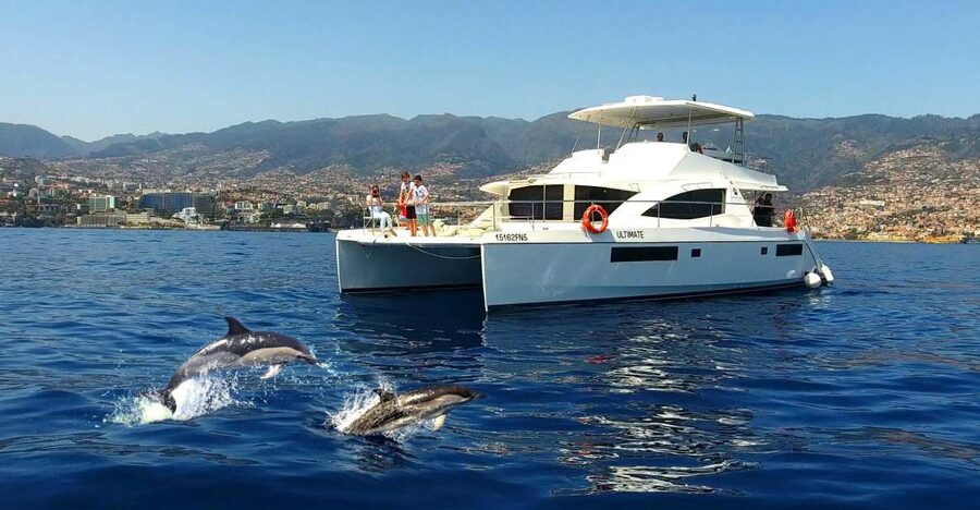 All Inclusive Whale and Dolphin Watching Luxury Tour - Setting off from Funchal with a glass of fizz