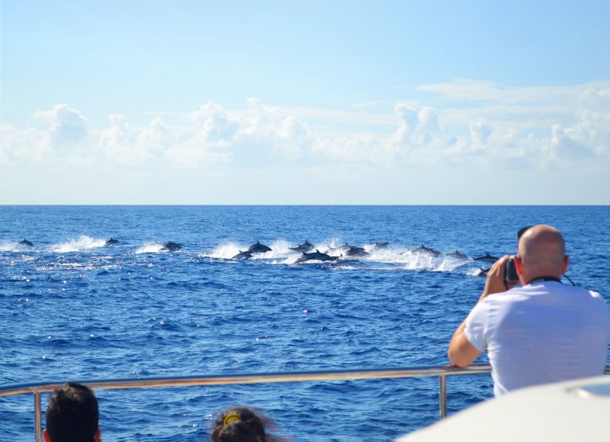 All Inclusive Whale and Dolphin Watching Luxury Tour - The secret stop and the value of a small boat