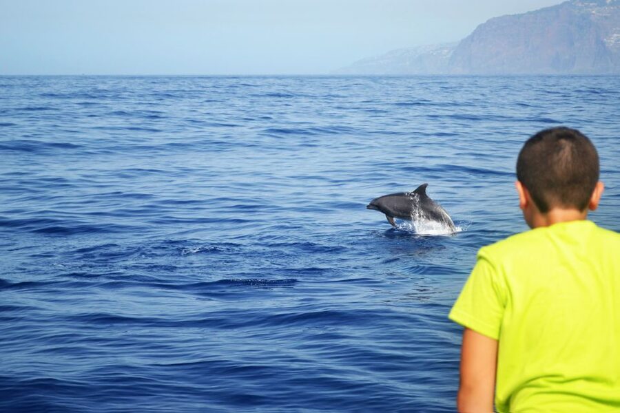 All Inclusive Whale and Dolphin Watching Luxury Tour - Who will enjoy this tour most