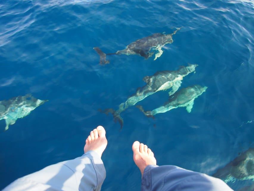 Always private 4 hour - Sail- dolphin Yacht Charter-paddle - A private boat for couples and celebrations