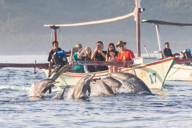Amazing Private Tours: Dolphins Lovina and Gitgit Waterfall include Lunch - Lovina’s black-sand coast and morning dolphins