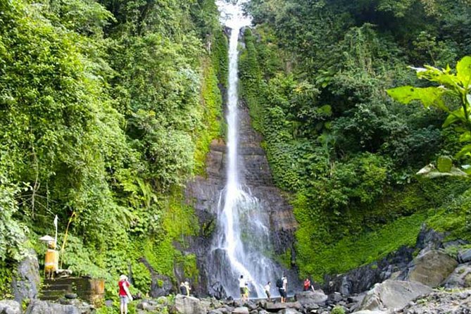Amazing Private Tours: Dolphins Lovina and Gitgit Waterfall include Lunch - What the private format changes