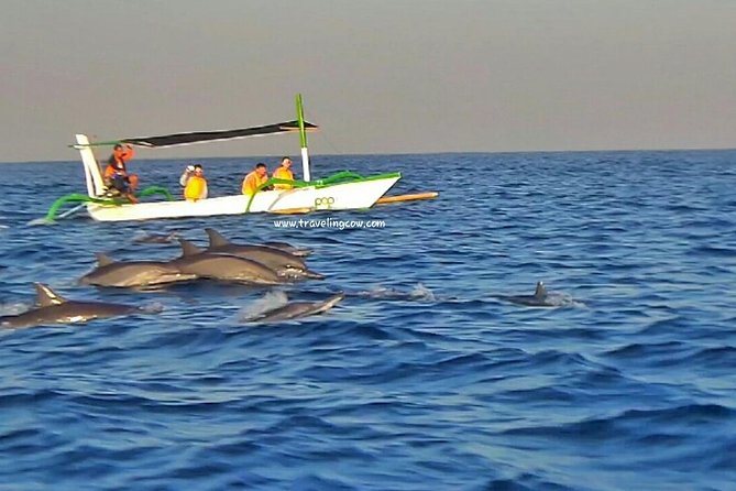 Amazing Private Tours: Dolphins Lovina and Gitgit Waterfall include Lunch - Ulun Danu Beratan Temple and its garden setting