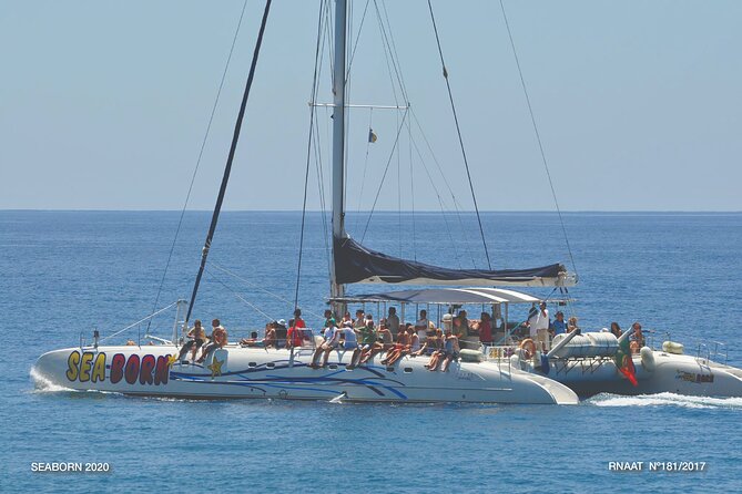 Amazing Skywalk, Wine Tasting & 4x4 Adventure + Dolphin Watching - Key points to know before booking