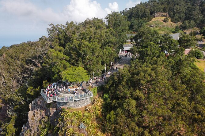 Amazing Skywalk, Wine Tasting & 4x4 Adventure + Dolphin Watching - Poncha, Madeira wine, and the local flavor of the morning