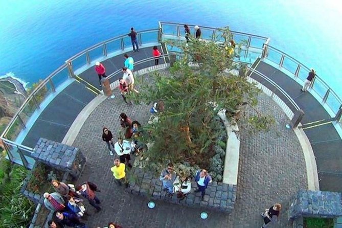 Amazing Skywalk, Wine Tasting & 4x4 Adventure + Dolphin Watching - The break in Funchal before the catamaran