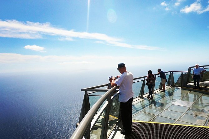 Amazing Skywalk, Wine Tasting & 4x4 Adventure + Dolphin Watching - Three hours at sea with dolphins and whales