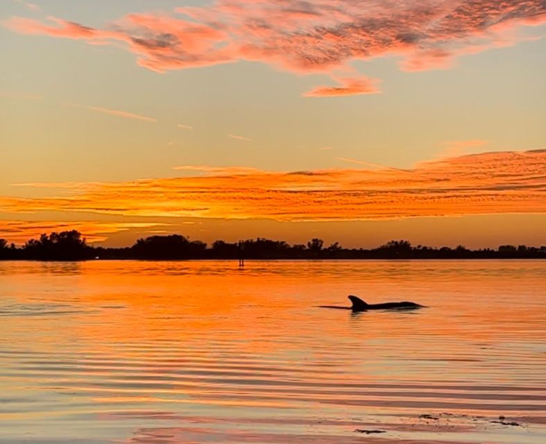 Anna Maria Island and Bradenton: Sunset Kayak Dolphin Tour - Key points to know before you paddle