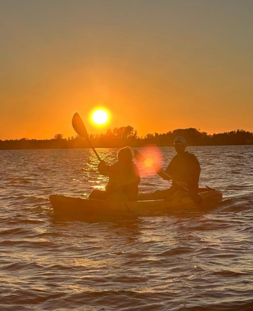 Anna Maria Island and Bradenton: Sunset Kayak Dolphin Tour - Who should book this sunset kayak tour?