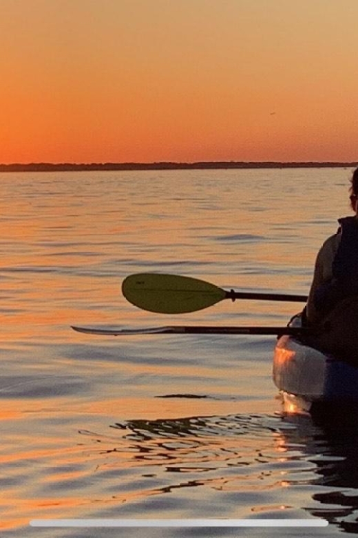 Anna Maria Island and Bradenton: Sunset Kayak Dolphin Tour - Why sunset kayaking works so well here