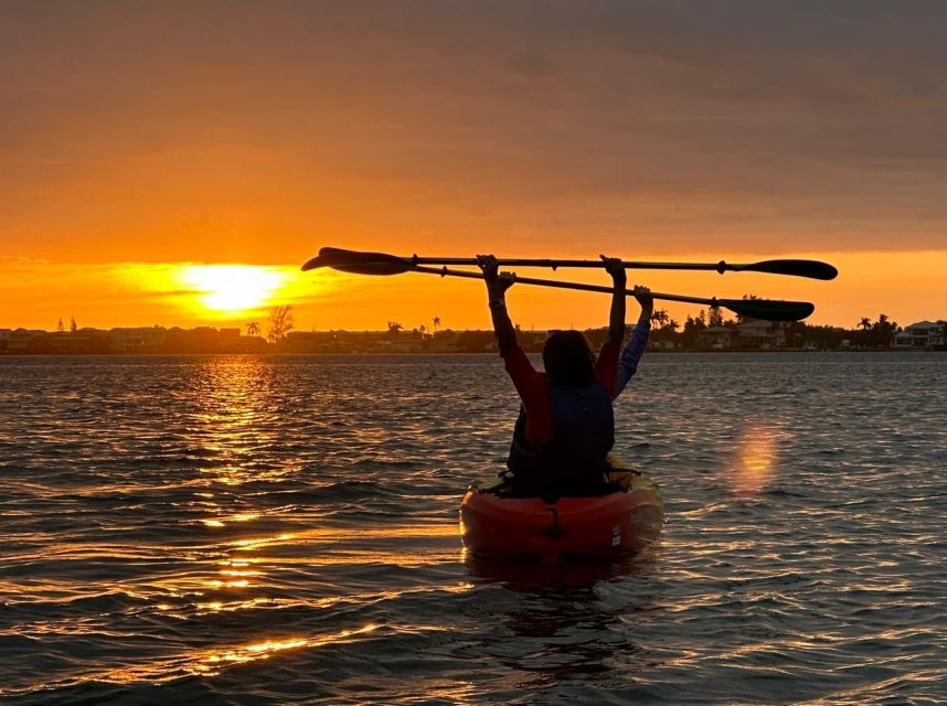 Anna Maria Island and Bradenton: Sunset Kayak Dolphin Tour - Watching dolphins without a guaranteed script
