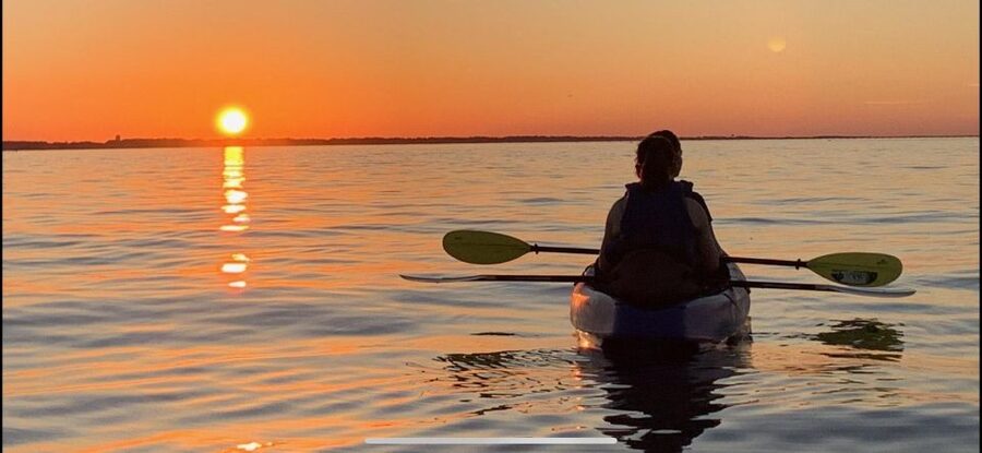 Anna Maria Island and Bradenton: Sunset Kayak Dolphin Tour - Mangroves, islands, and the route’s less exciting stretch