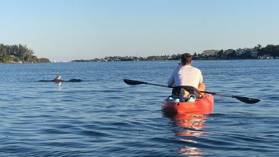 Anna Maria Island and Bradenton: Sunset Kayak Dolphin Tour - Is $60 a fair price?