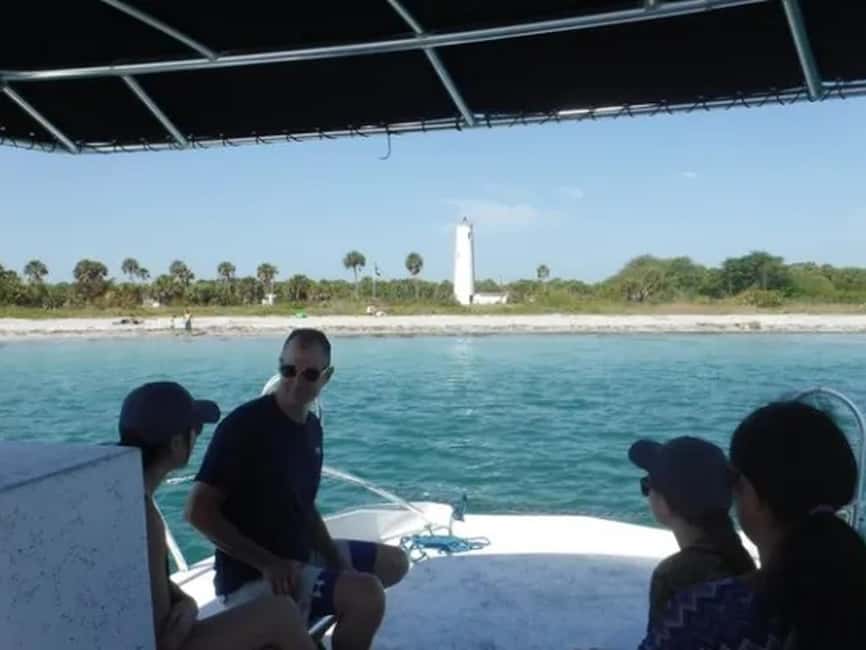 Anna Maria Island: Dolphin Cruise - Should you book the dolphin cruise?