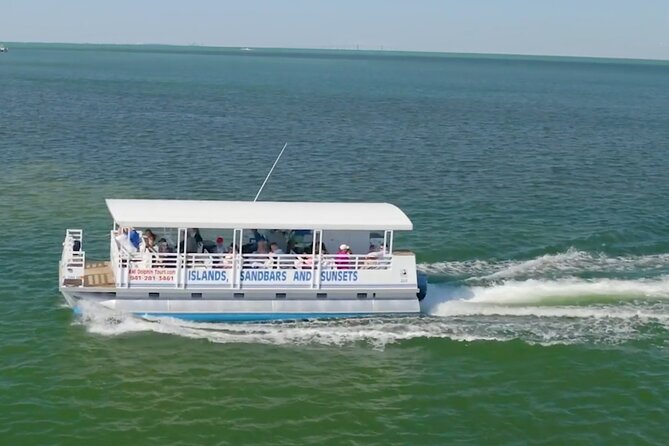 Anna Maria Island Dolphin Sightseeing Adventure - Key points to know before you go