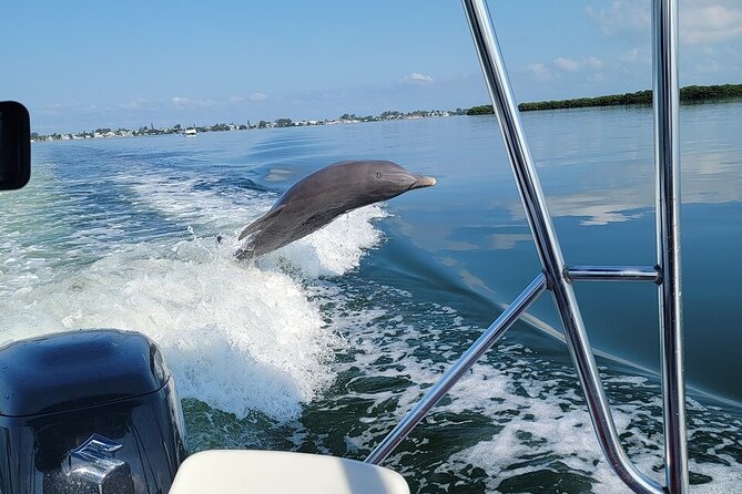 Anna Maria Island Dolphin Sightseeing Adventure - A two-hour search for dolphins around Anna Maria Island