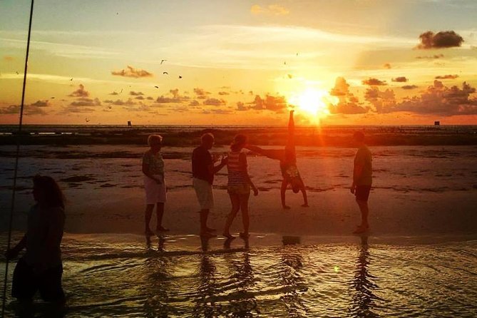 Anna Maria Island Dolphin Sunset Boat Tour - Looking for dolphins around Anna Maria Island