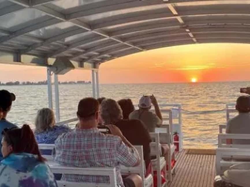 Anna Maria Island: Sunset Dolphin Cruise - Key points to know before you book