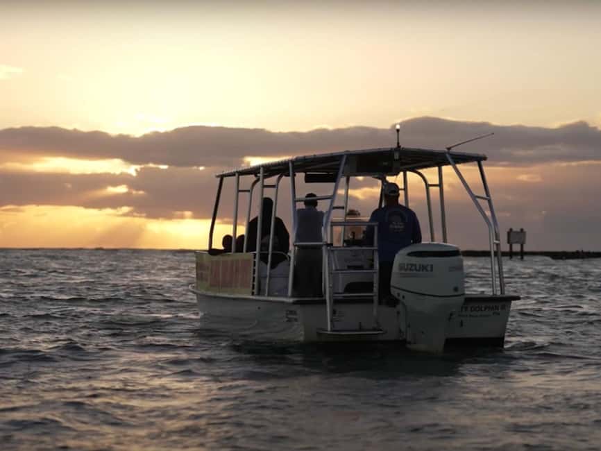 Anna Maria Island: Sunset Dolphin Cruise - What the two-hour itinerary feels like