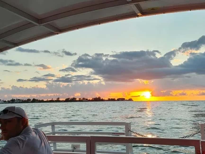 Anna Maria Island: Sunset Dolphin Cruise - Weather, comfort, and what to pack