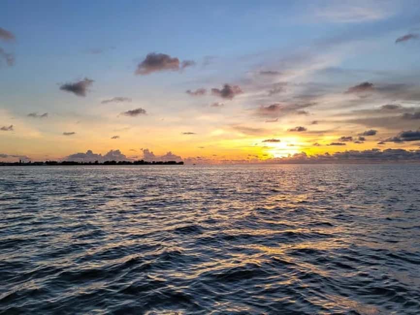 Anna Maria Island: Sunset Dolphin Cruise - Private or public cruise options