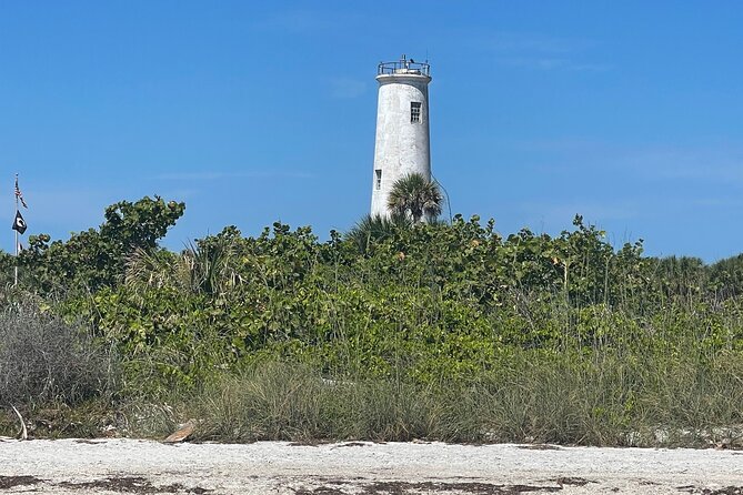 Aqua Sol Adventures-4.5 hour Private Snorkeling,Dolphin,shelling - Snorkeling in Gulf waters