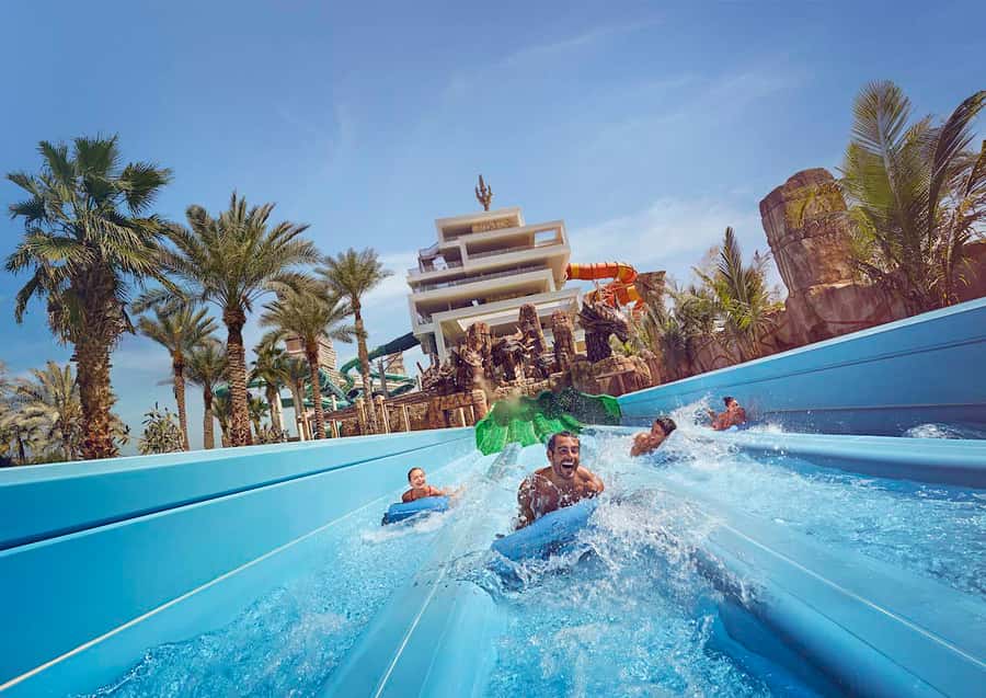 Aquaventure World: Dolphin Paddle and Waterpark Day Pass - Twenty minutes on the water with dolphins