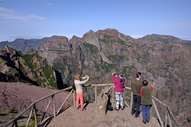 Arieiro Peak and Cristo Rei 4x4 Experience + Dolphins Watching - Watching dolphins and whales from Funchal Harbor