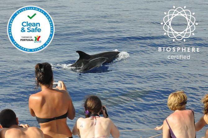 Arieiro Peak and Cristo Rei 4x4 Experience + Dolphins Watching - What the private format changes