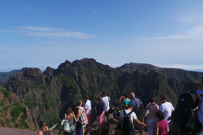 Arieiro Peak and Cristo Rei 4x4 Experience + Dolphins Watching - Who will get the most from this tour